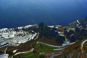 Congjiang Jiabang Terraced Fields